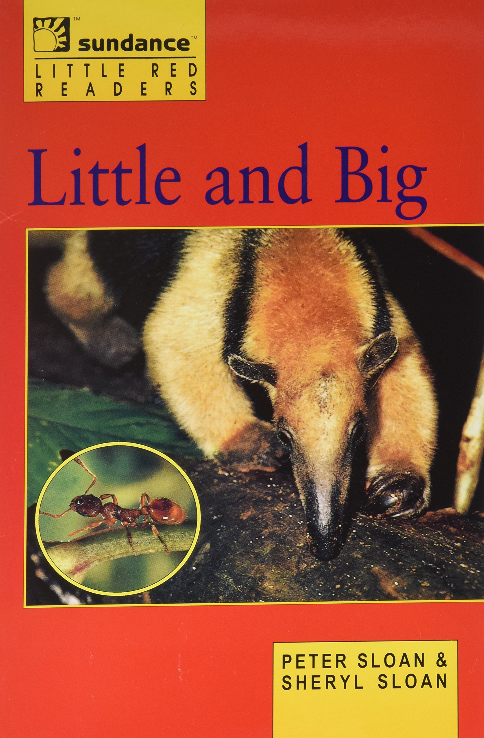 Little and Big (Sundance Publishing: Little Red Readers)