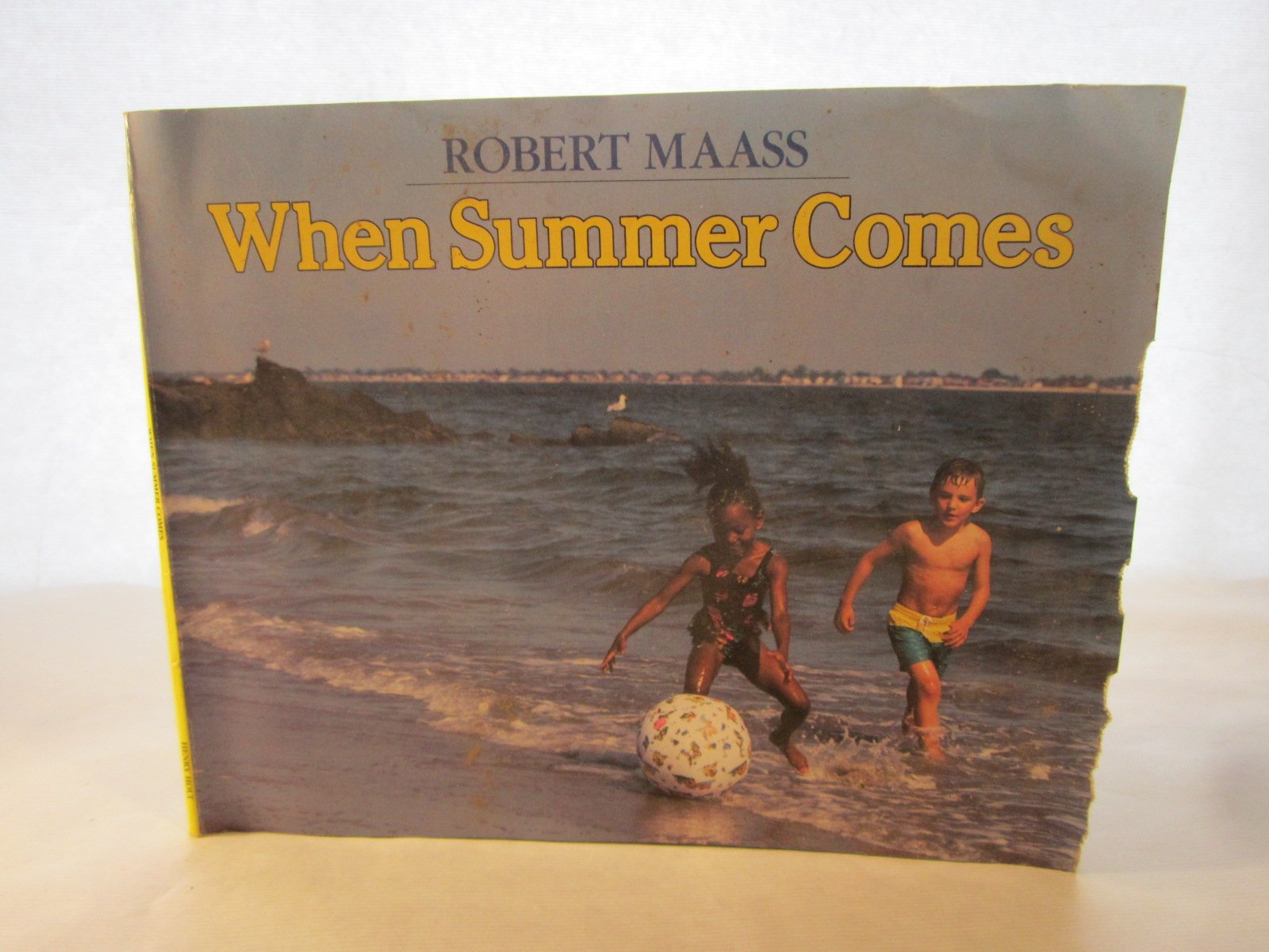 When Summer Comes (An Owlet Book)