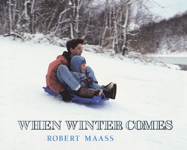When Winter Comes (An Owlet Book)