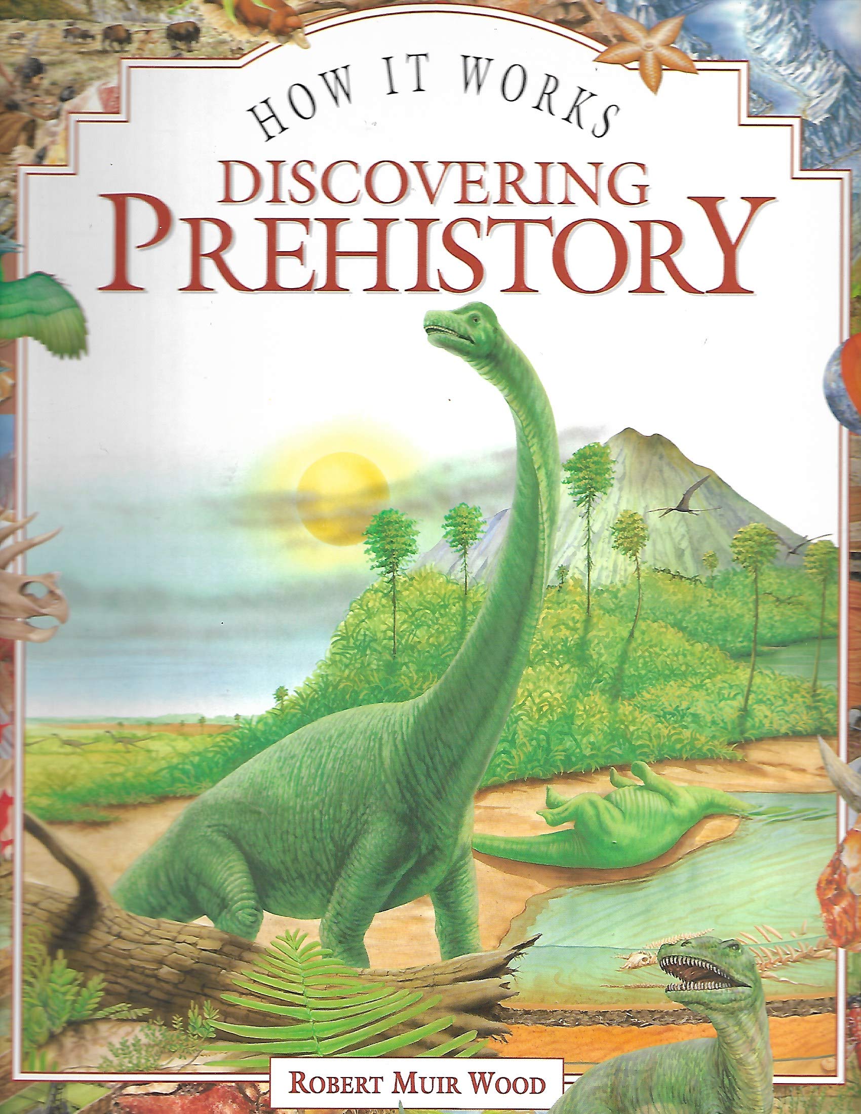 How It Works Discovering Prehistory