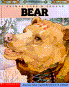 Bear: Animal Lore and Legend : American Indian Legends (Animal Lore & Legend)