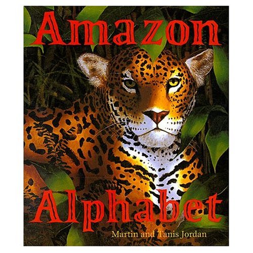 amazon alphabet