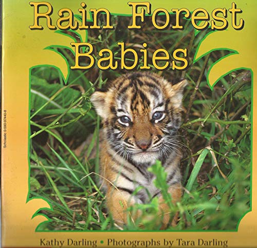 Rain Forest Babies