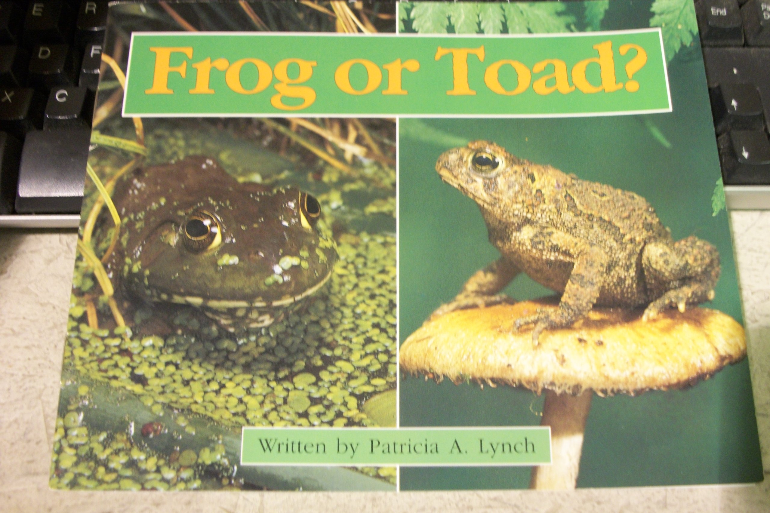 Frog or toad?