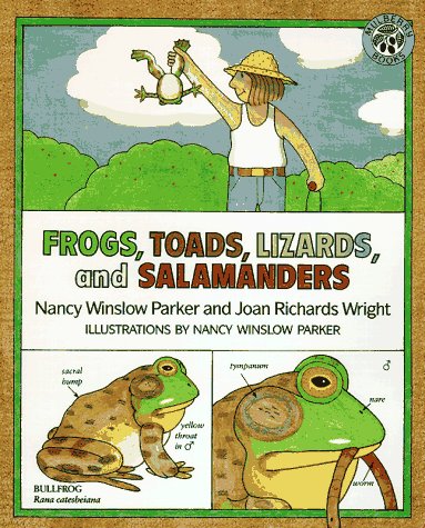 Frogs, Toads, Lizards, and Salamanders