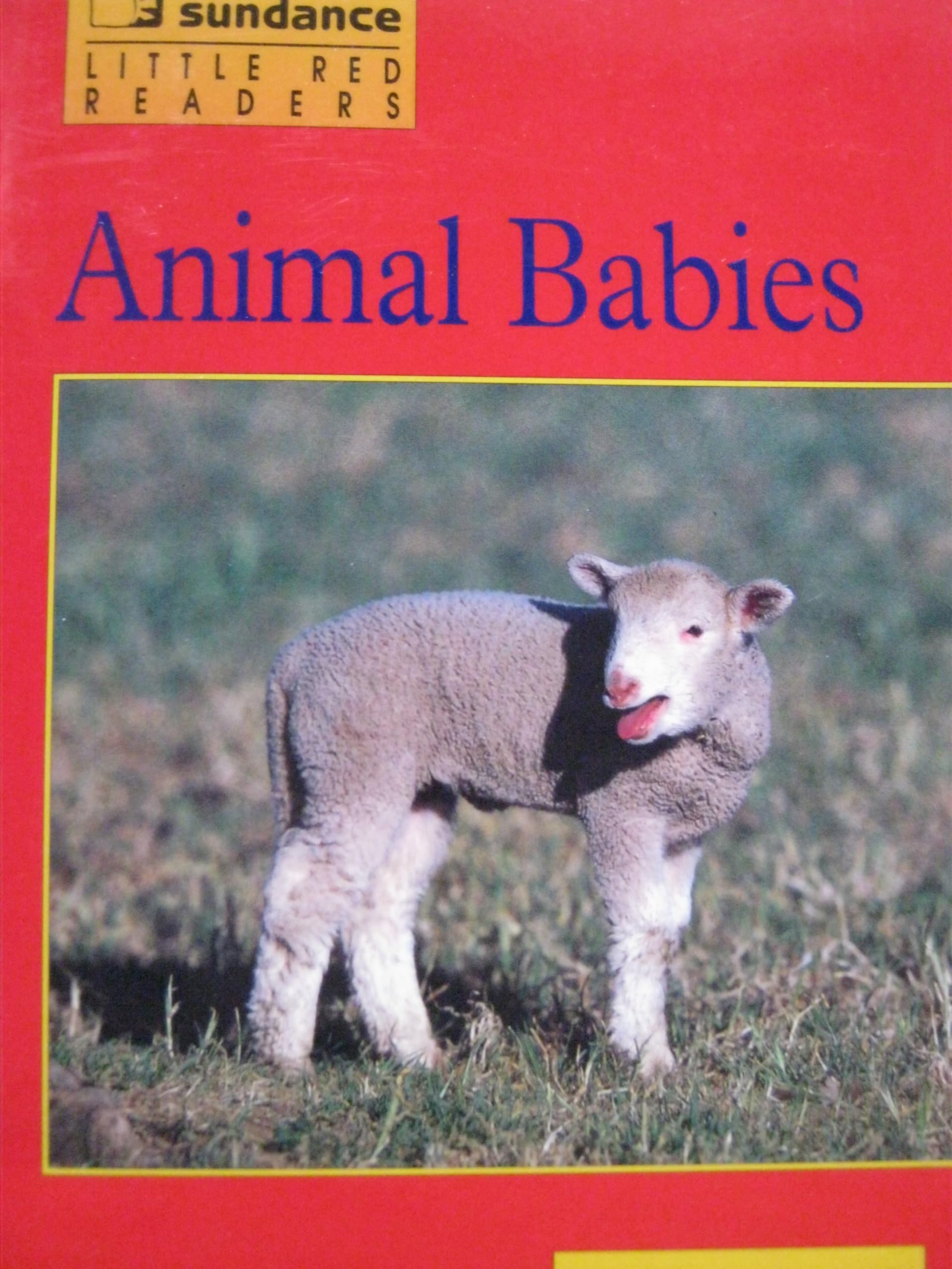 Animal Babies