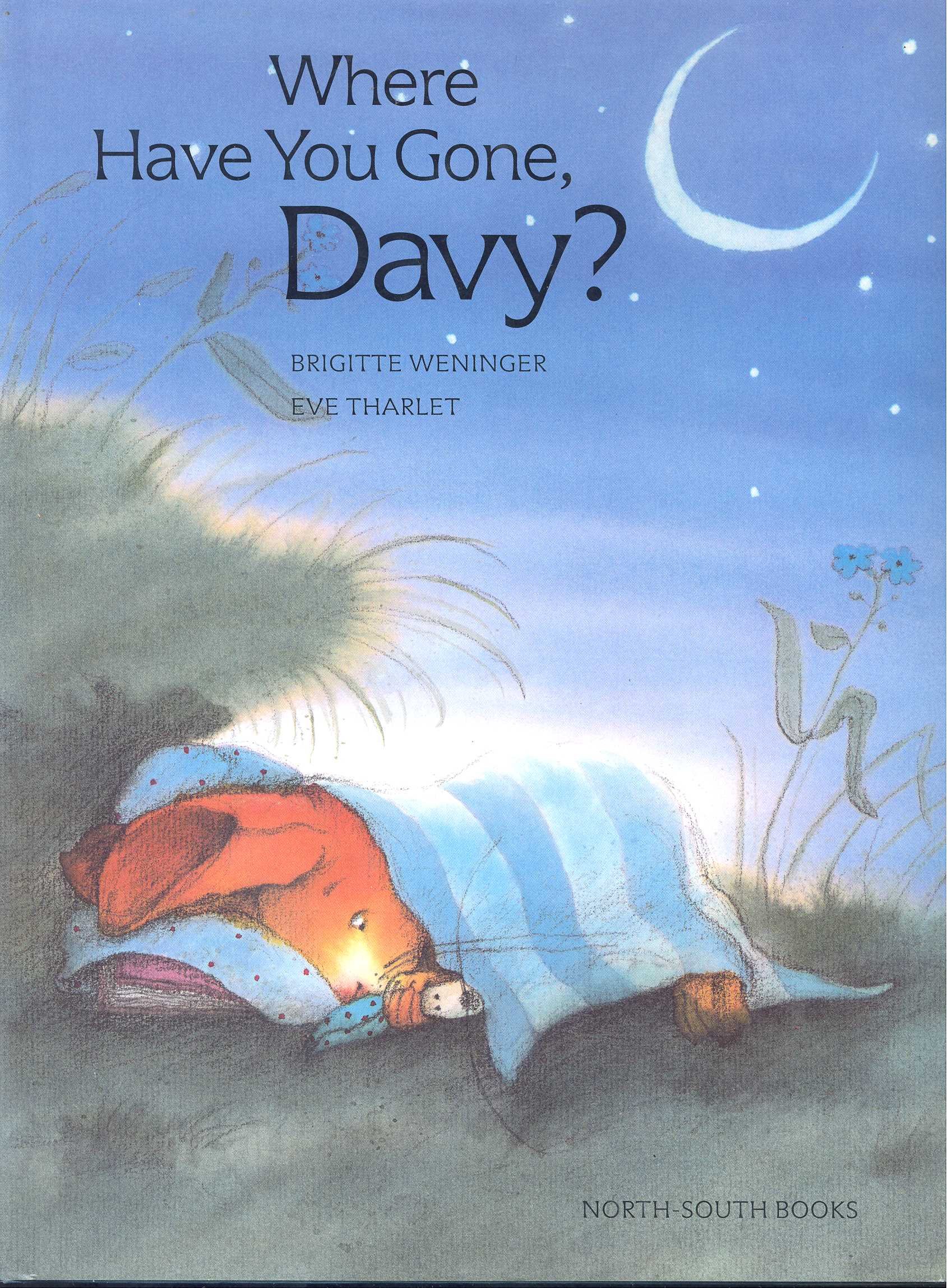 Where Have You Gone, Davy?