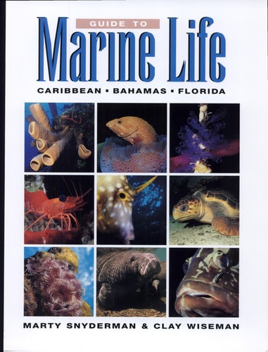 Guide to Marine Life Caribbean, Bahamas, Florida