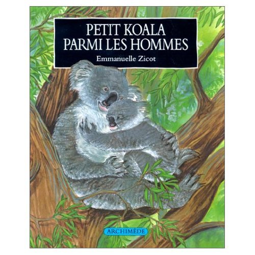 petit koala parmi les hommes