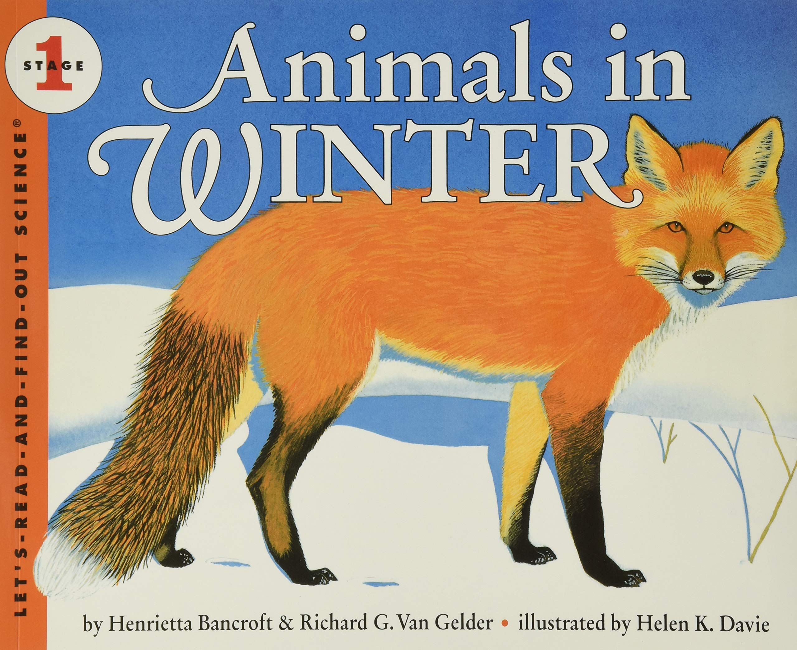 animals-in-winter