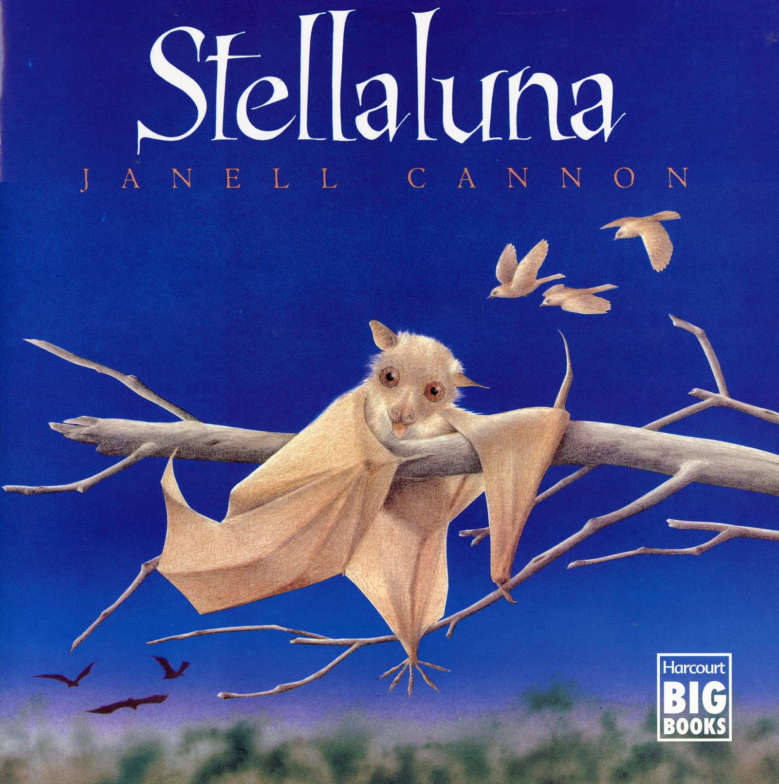 Stellaluna - Oversize edition