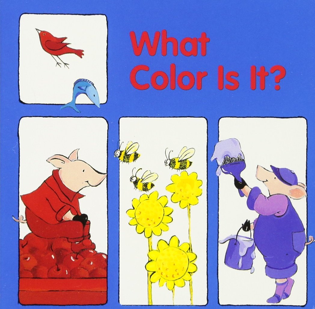 What Color Is It? (Good Beginnings)