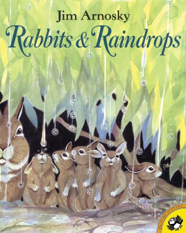 Rabbits and Raindrops