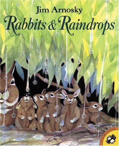 Rabbits & Raindrops