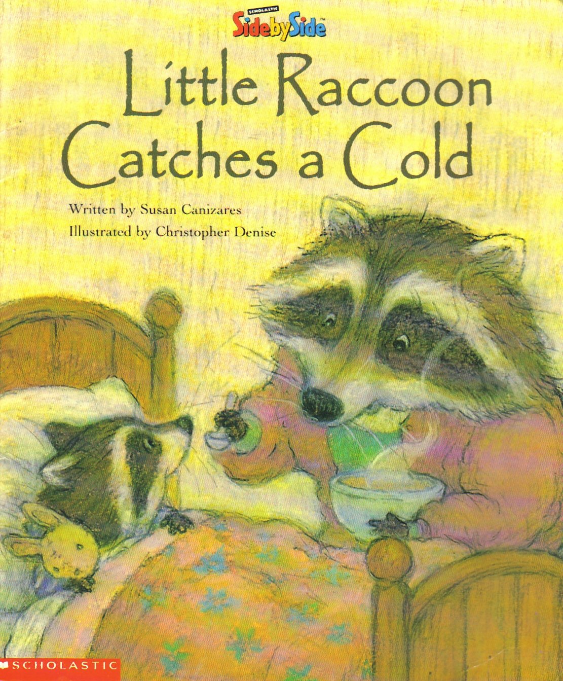 Little Raccoon Catches a Cold (SidebySide Books for Collaborative Reading)