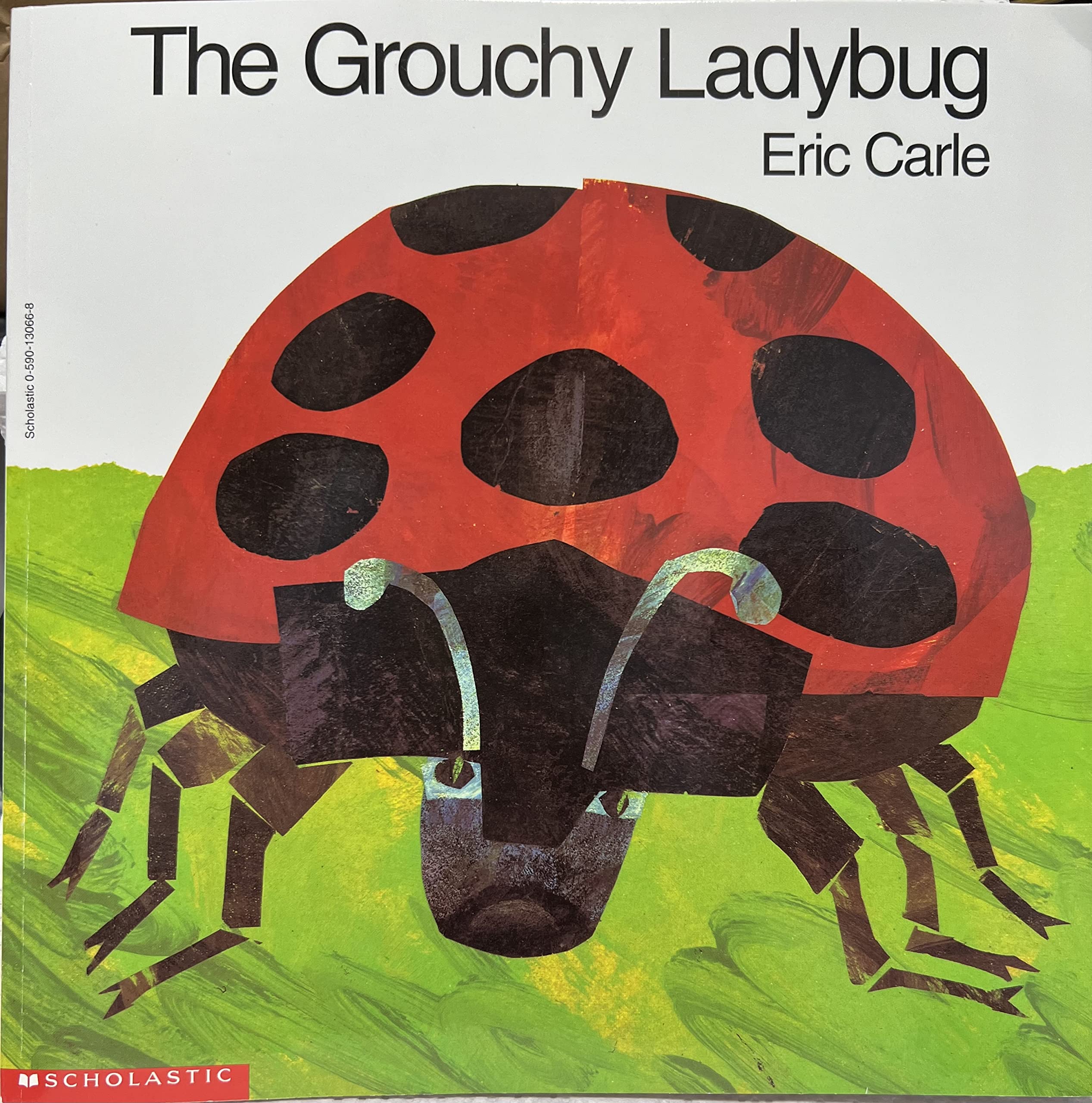 The Grouchy Ladybug