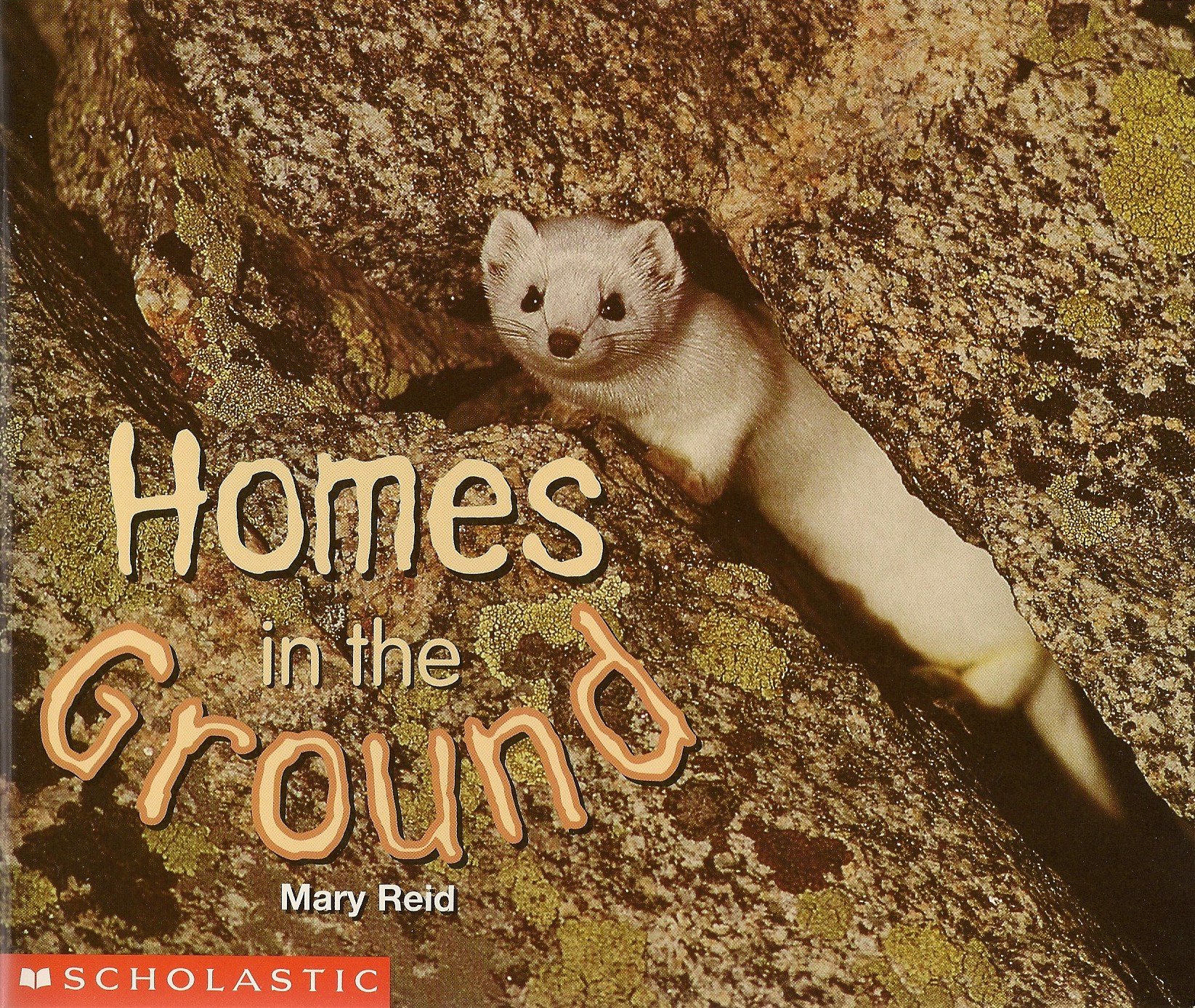 Homes in the Ground (Science Emergent Readers)