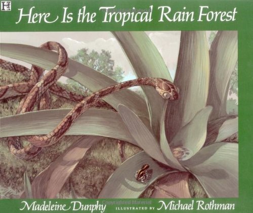 Here is the Tropical Rainforest