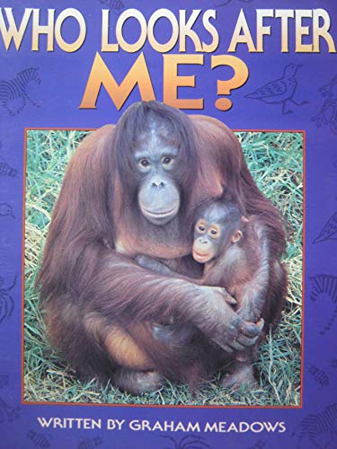 Who Looks After Me? [Literacy 2000]
