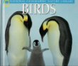 Birds (National Geographic Nature Library)