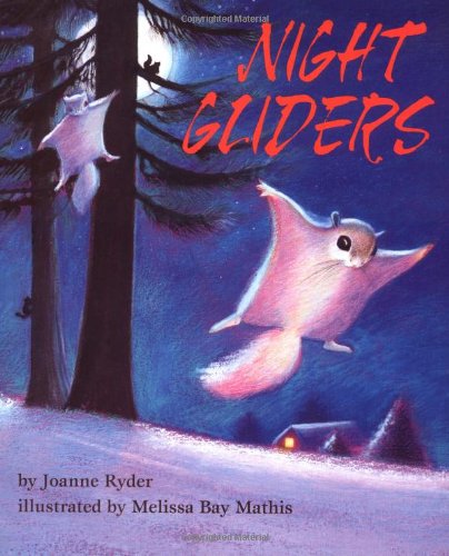 Night Gliders