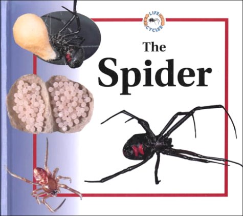 The Spider (Life Cycles)