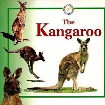 The Kangaroo (Life Cycles)