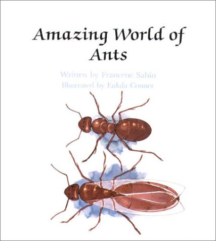 Amazing World Of Ants - Pbk