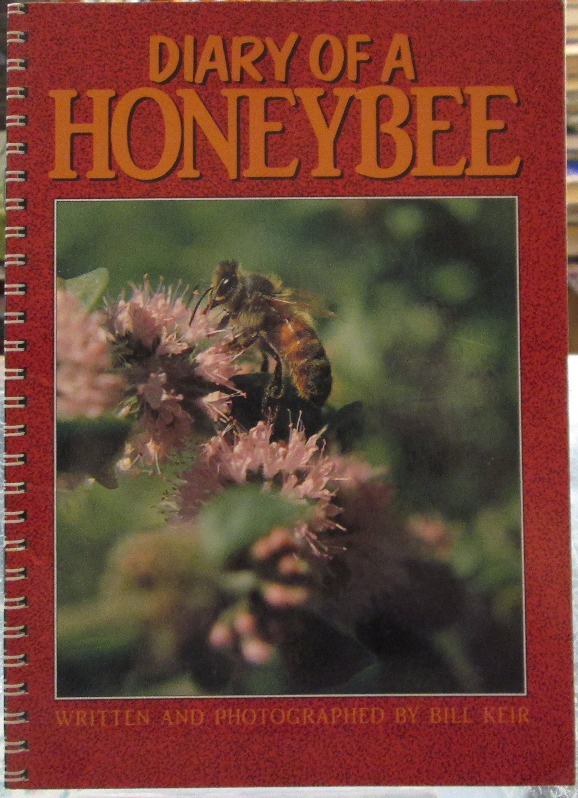 Diary of a Honeybee (Creative Solutions)