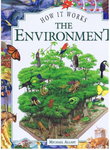 The Environment (How It Works)