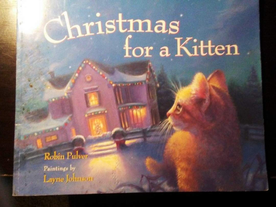 Christmas for a Kitten