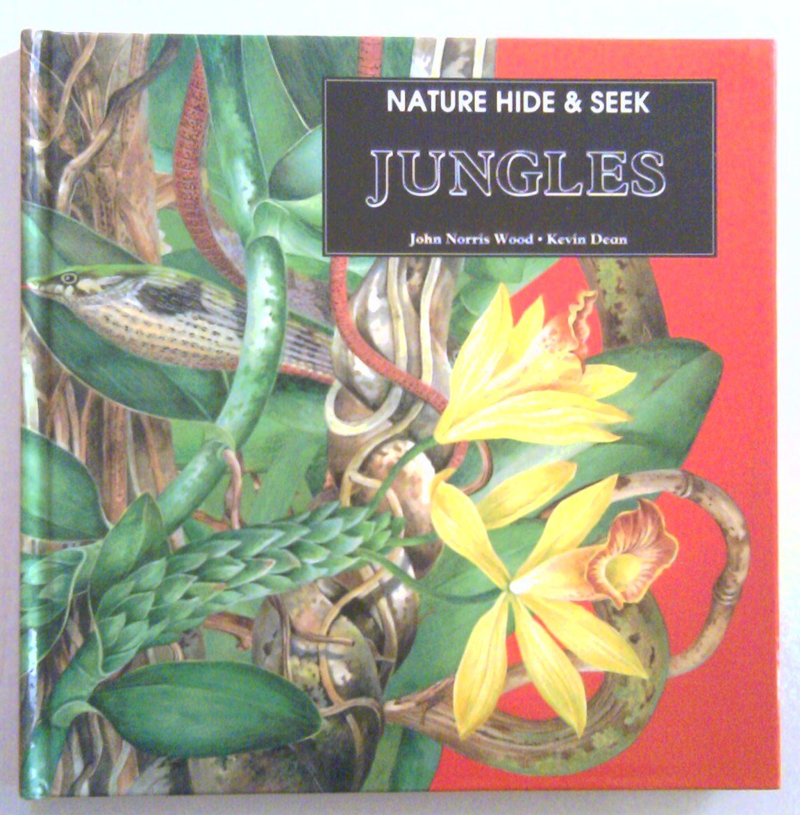 Nature hide & seek