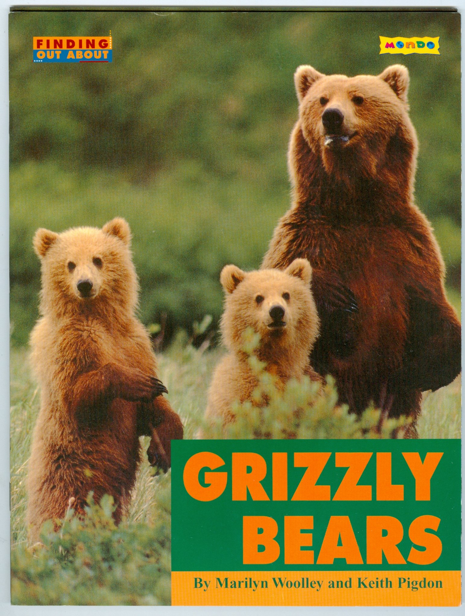 Finding Out About Grizzly Bears