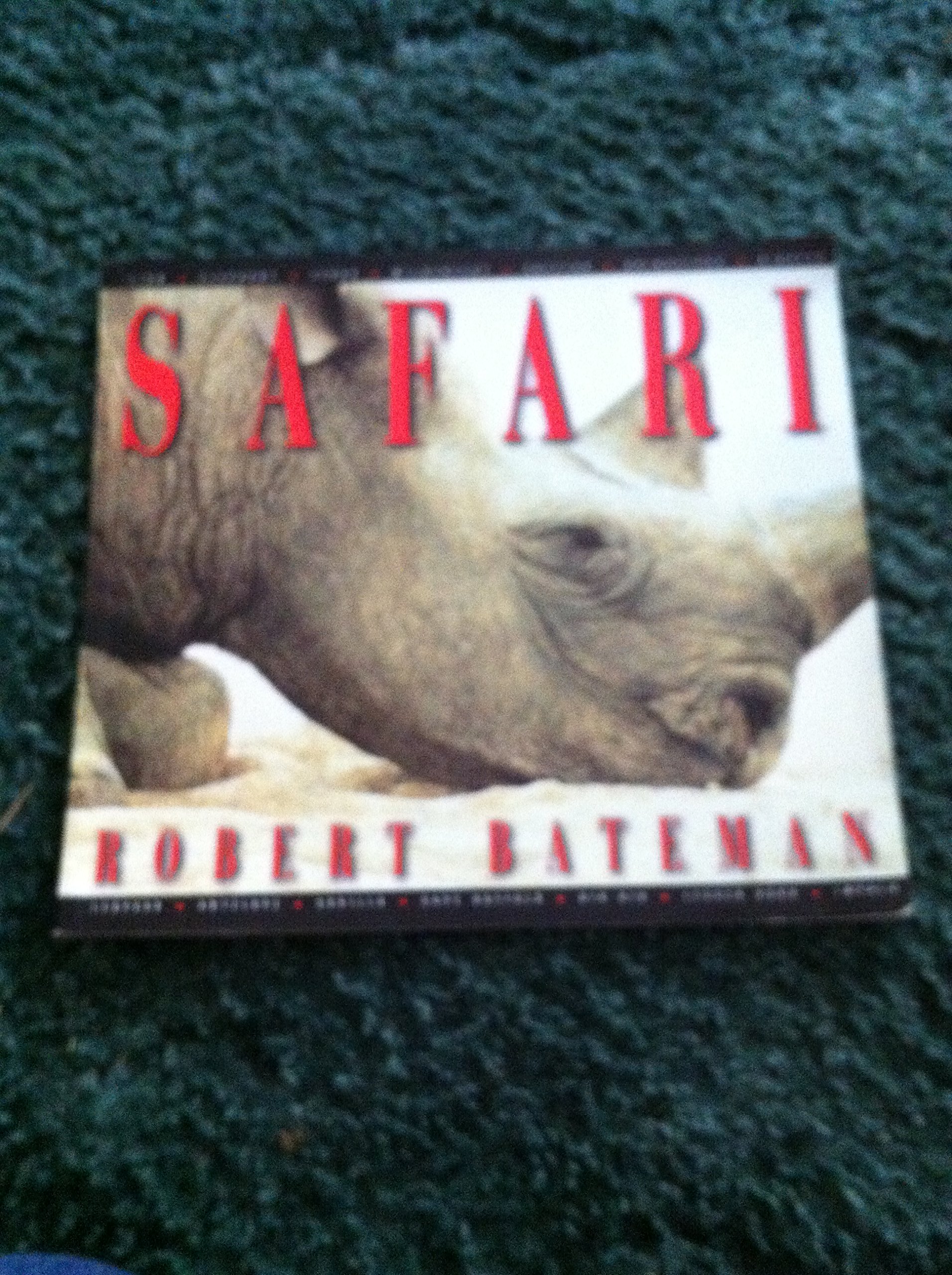 Safari