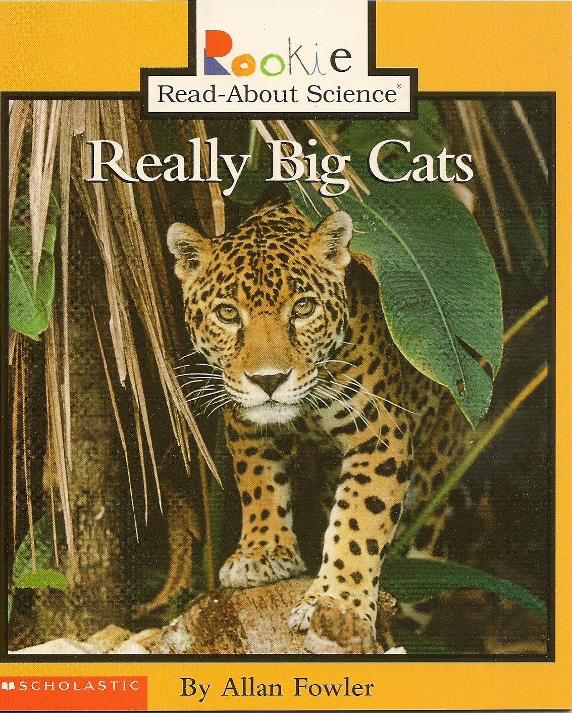 Really Big Cats, Rookie Read-About Science