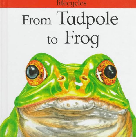 From Tadpole to Frog (Lifecycles)