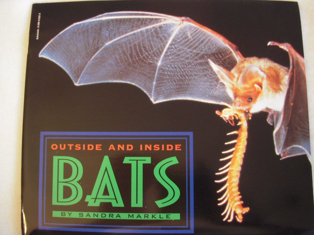 Outside and inside bats