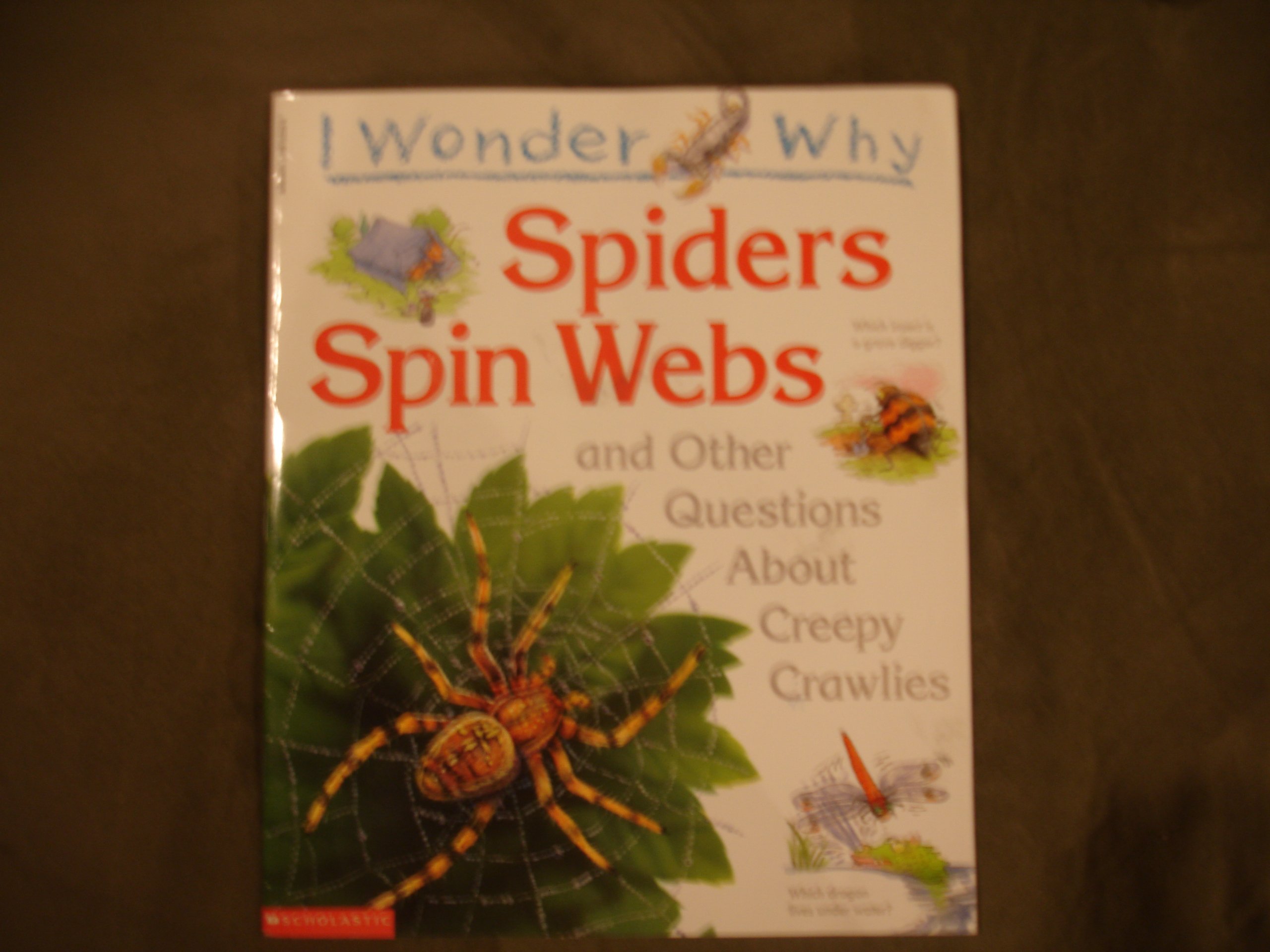I Wonder Why Spiders Spin Webs and Other Questions About Creepy Crawlies
