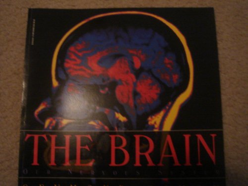 The brain: Our nervous system