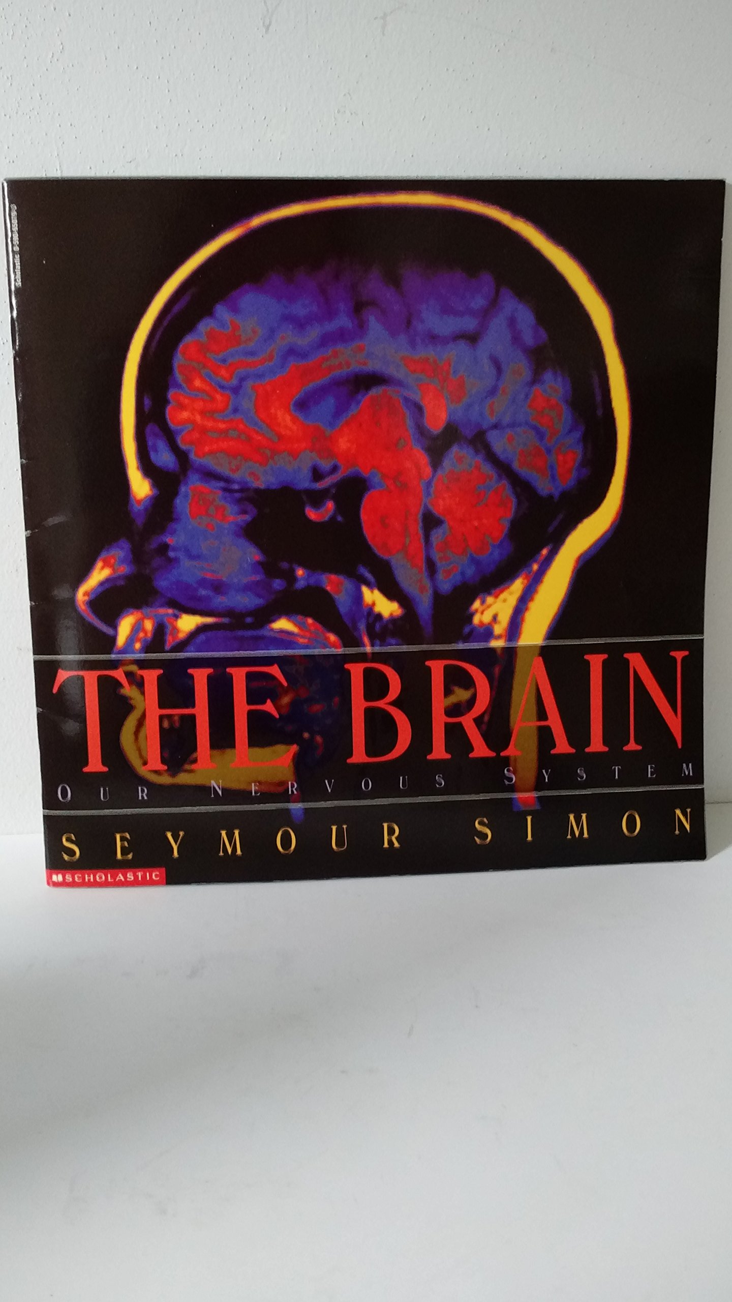 The brain: Our nervous system
