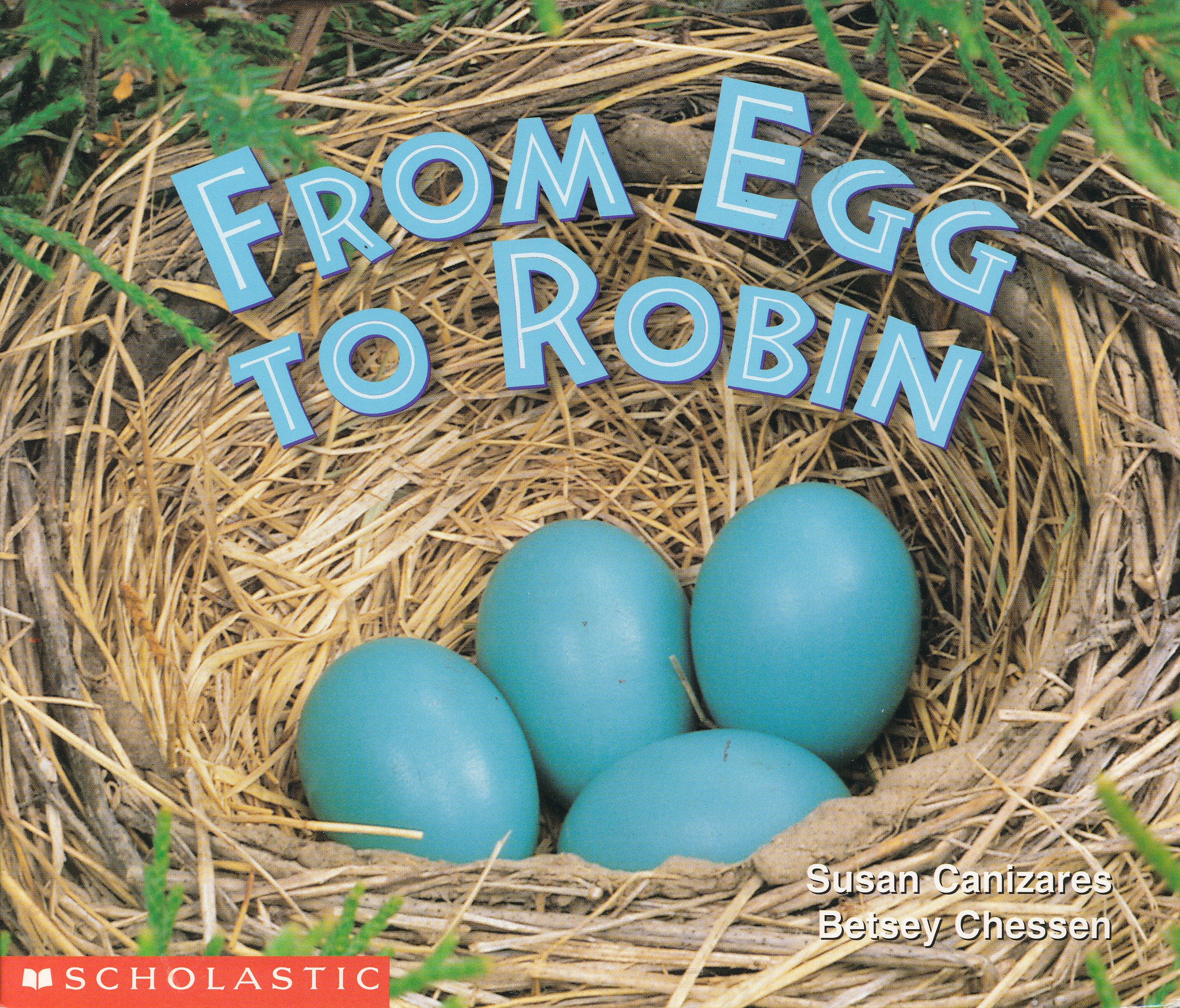 From Egg To Robin (Science Emergent Readers)