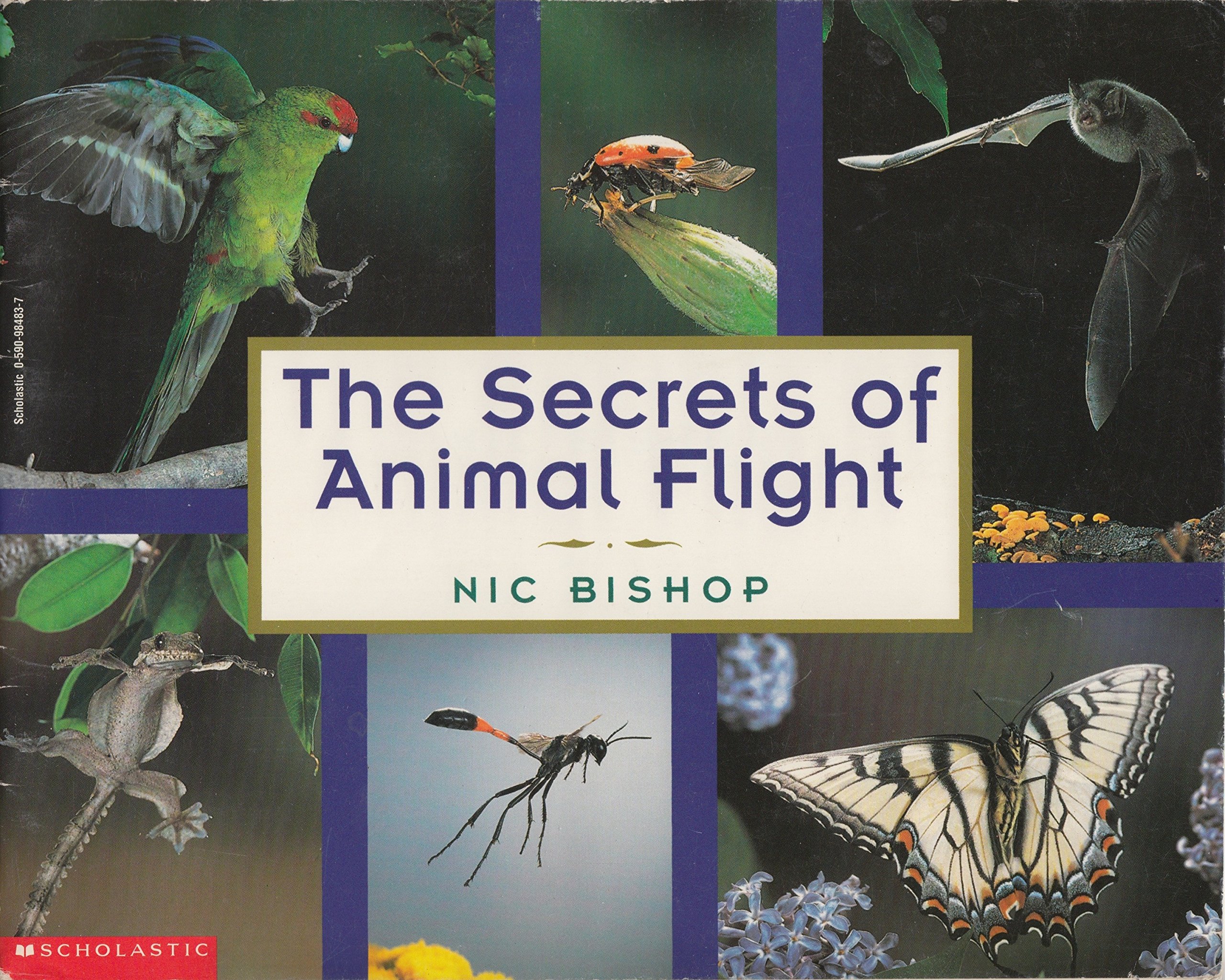 The secrets of animal flight