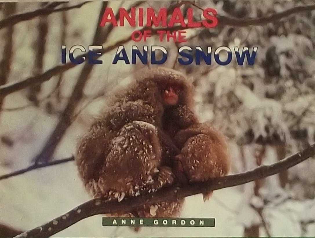 LT 3-A Gdr Animals Ice/Snow Is (Literacy Tree: What Courage!/Literacy 2000 Stage 8)