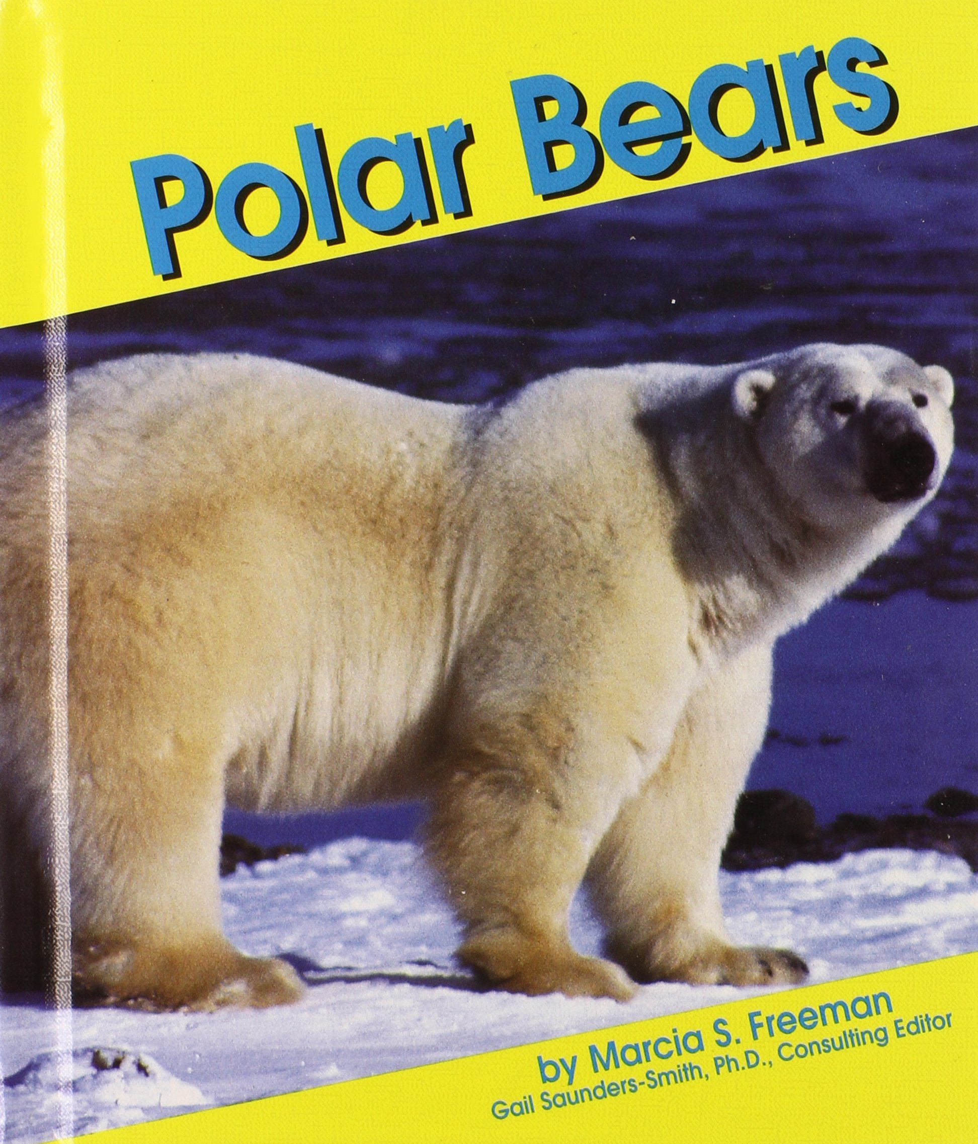 Polar Bears