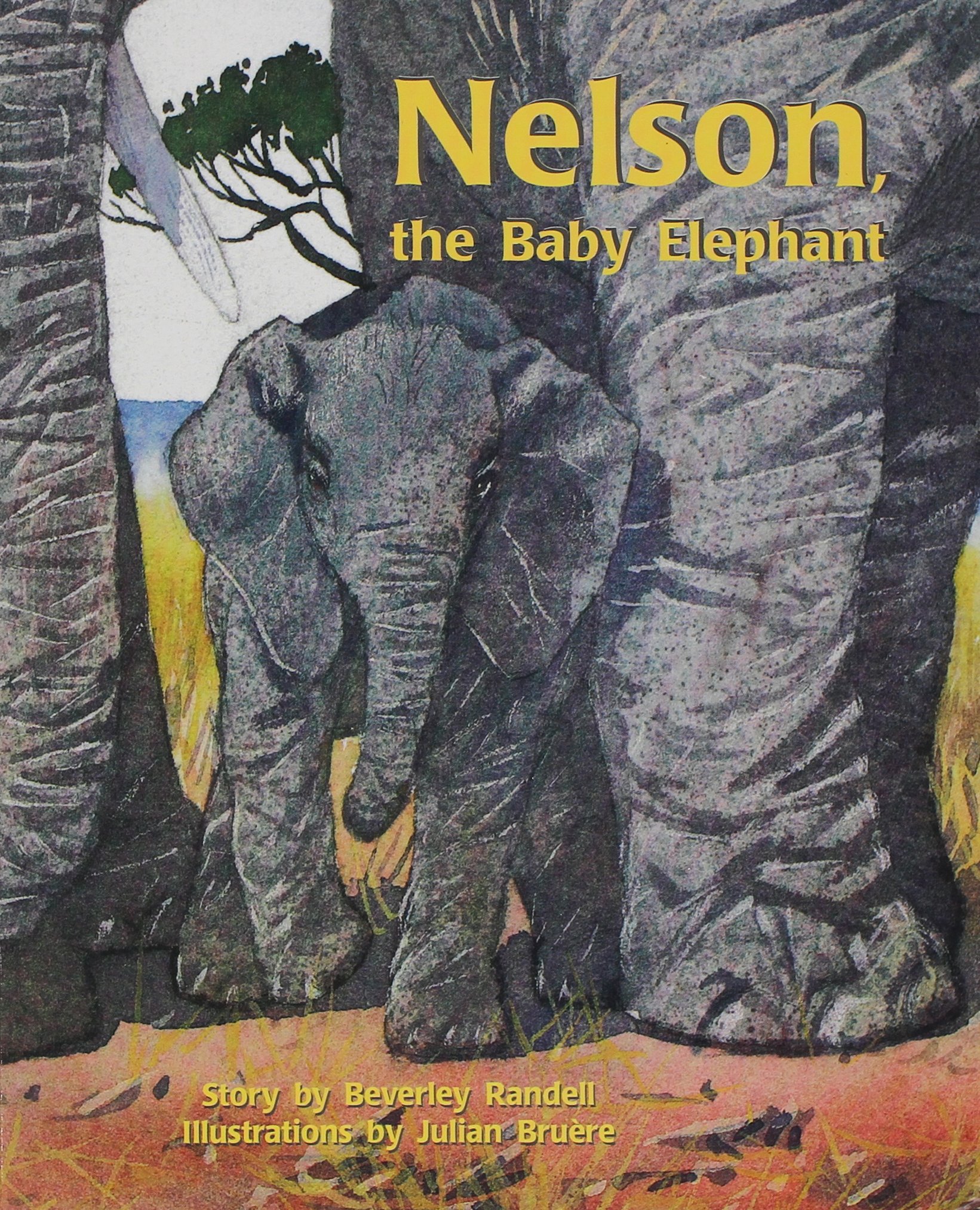 Nelson, the Baby Elephant: Individual Student Edition Turquoise (Levels 17-18)