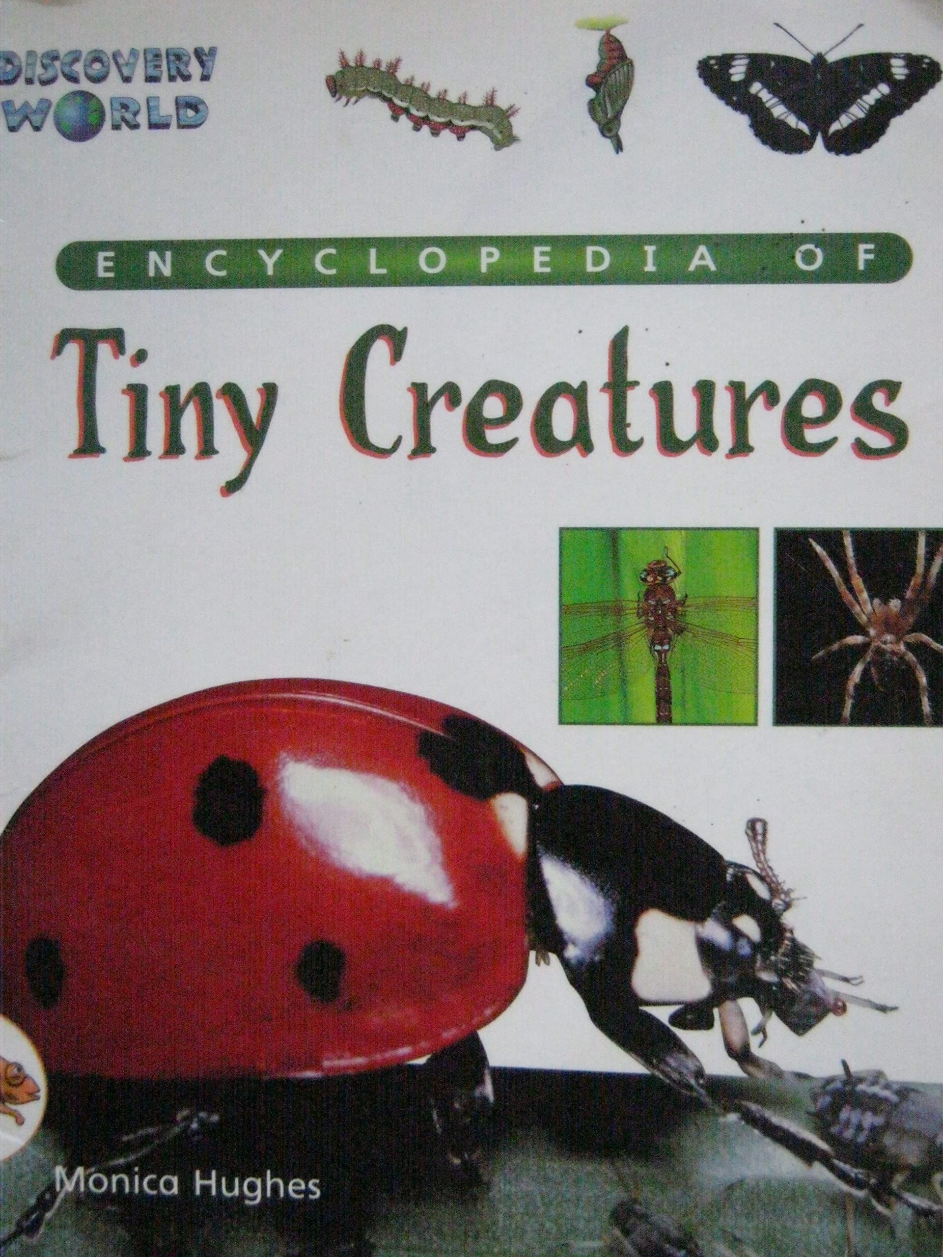 Dw-1 or Encyclopedia of Is (Discovery World Series: Orange Level)