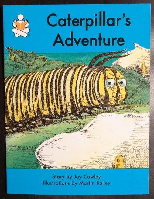 Caterpillar's adventure (The story box)