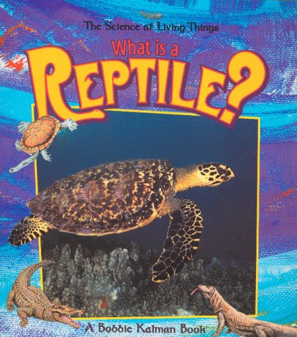 What Is a Reptile? (The Science of Living Things)