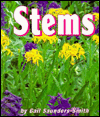 Stems (Growing Flowers)