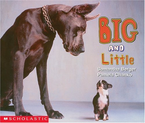 Big and Little (Learning Center Emergent Readers)